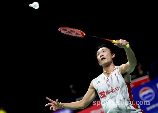 你回个编号 你回个编号