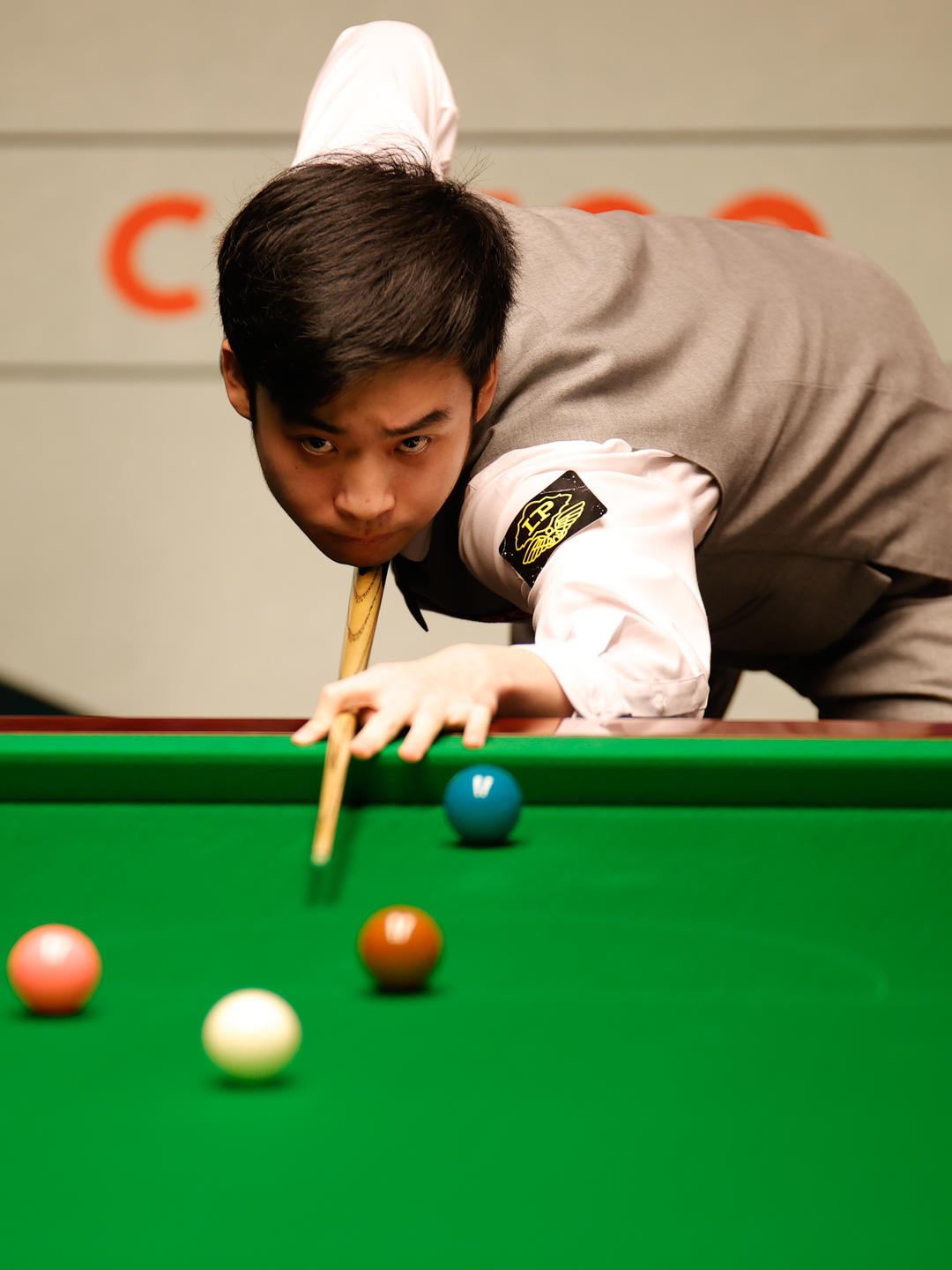 决策常被情 决策常被情