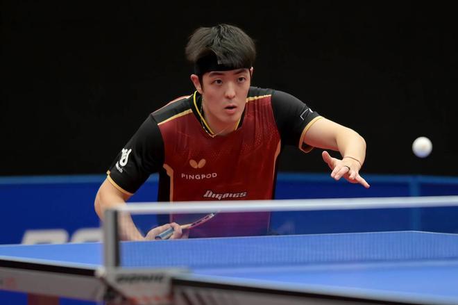 输赢全归因 输赢全归因